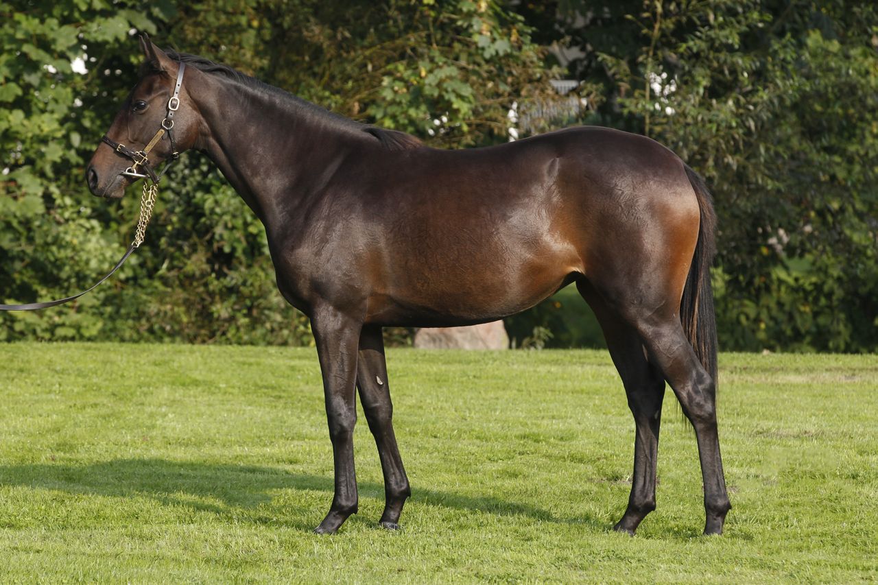 161LaTanzania.jpg 161LaTanzania.jpg