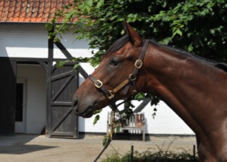 205ViaMediciheadkl.jpg 205ViaMediciheadkl.jpg