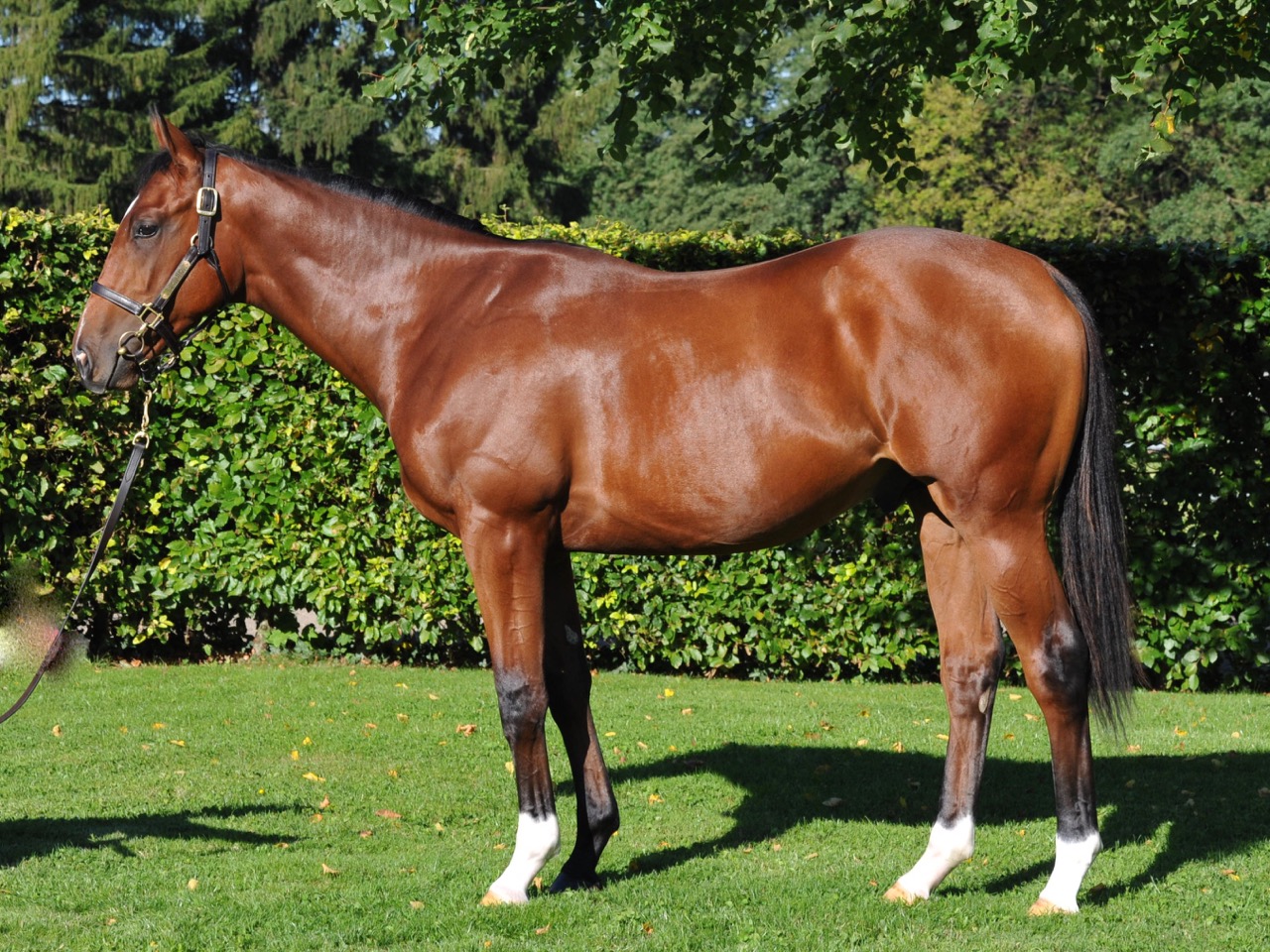 220Glympse2.jpg 220Glympse2.jpg