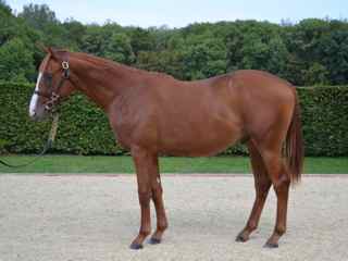 Lot 45 NN (Trempolino-Pepples Beach)