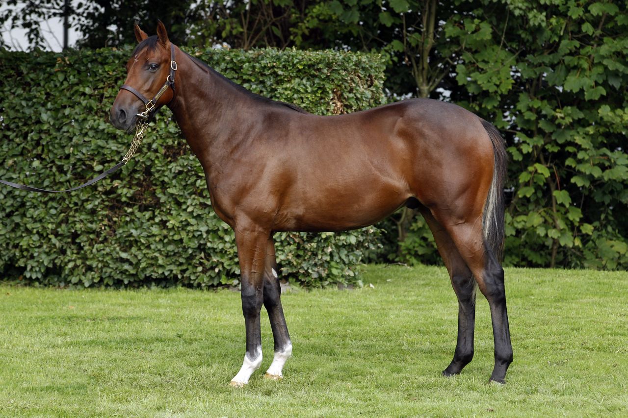 47NNDiora.jpg 47NNDiora.jpg