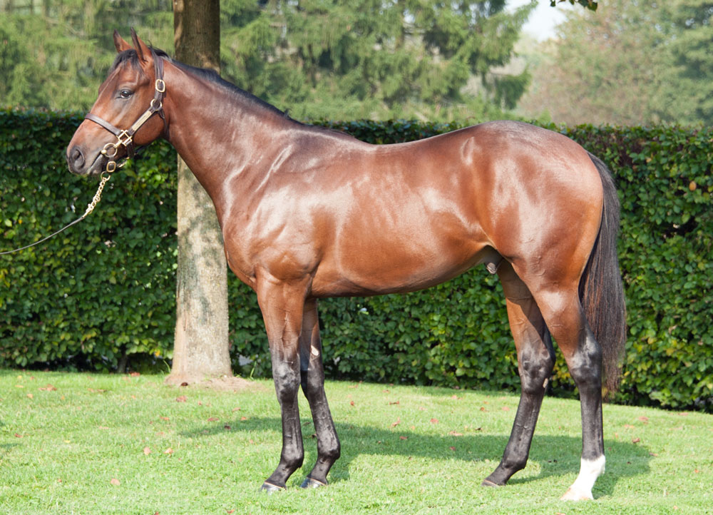 547Sharapova13.jpg 547Sharapova13.jpg