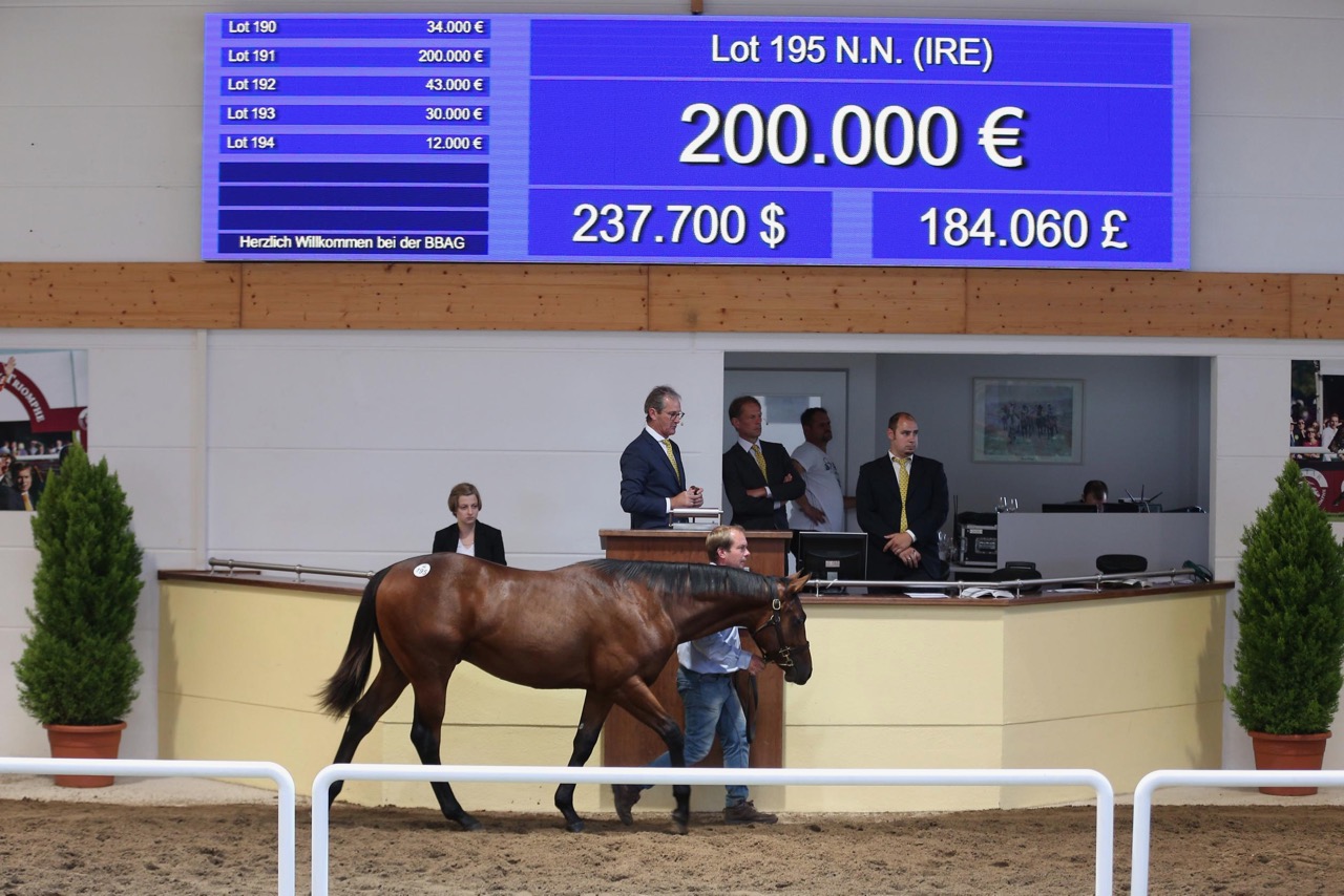 BBAG010917042.jpg BBAG010917042.jpg