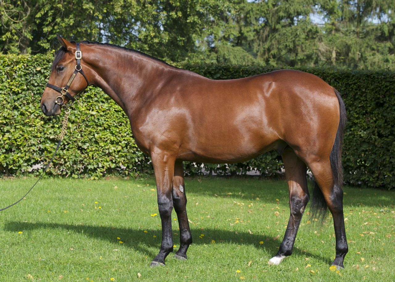 CS12260913.jpg CS12260913.jpg