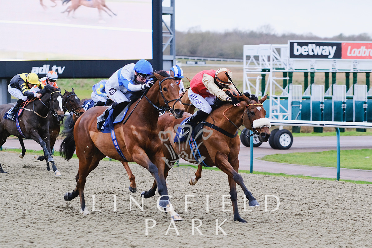 CestNoMourLingfield.jpg CestNoMourLingfield.jpg