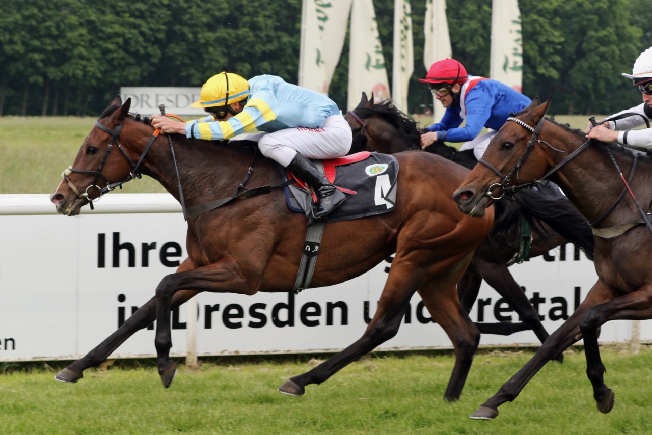 CoppeliaAglIDresden.jpg CoppeliaAglIDresden.jpg