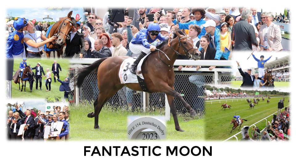 FantasticMoonDerby1.jpg
