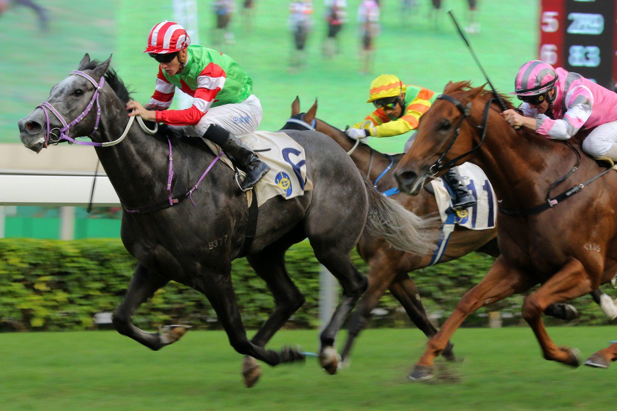 GuyDragon.jpg GuyDragon.jpg