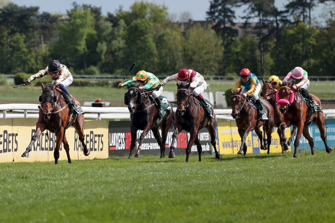 LadyMarySchwarzgold.jpg LadyMarySchwarzgold.jpg