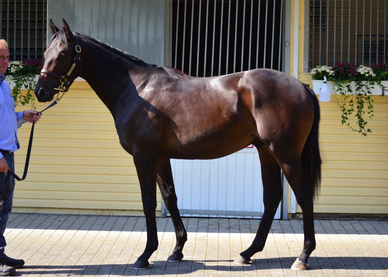 Lennox5.jpg Lennox5.jpg