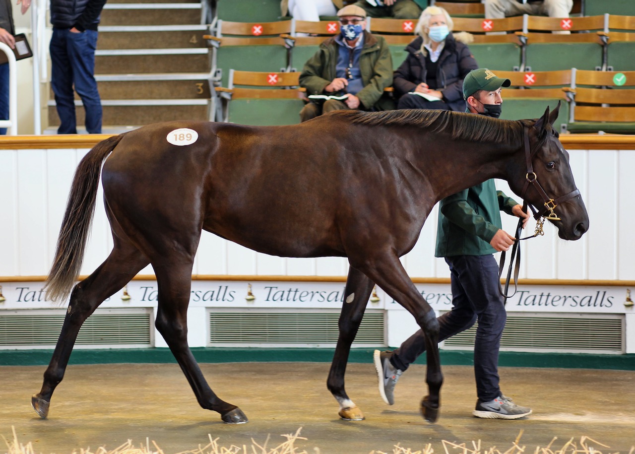 Lot189exGreenDiamondLady2.jpg Lot189exGreenDiamondLady2.jpg