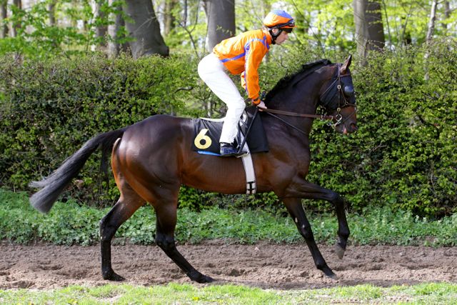 Lycidas2204121.jpg Lycidas2204121.jpg