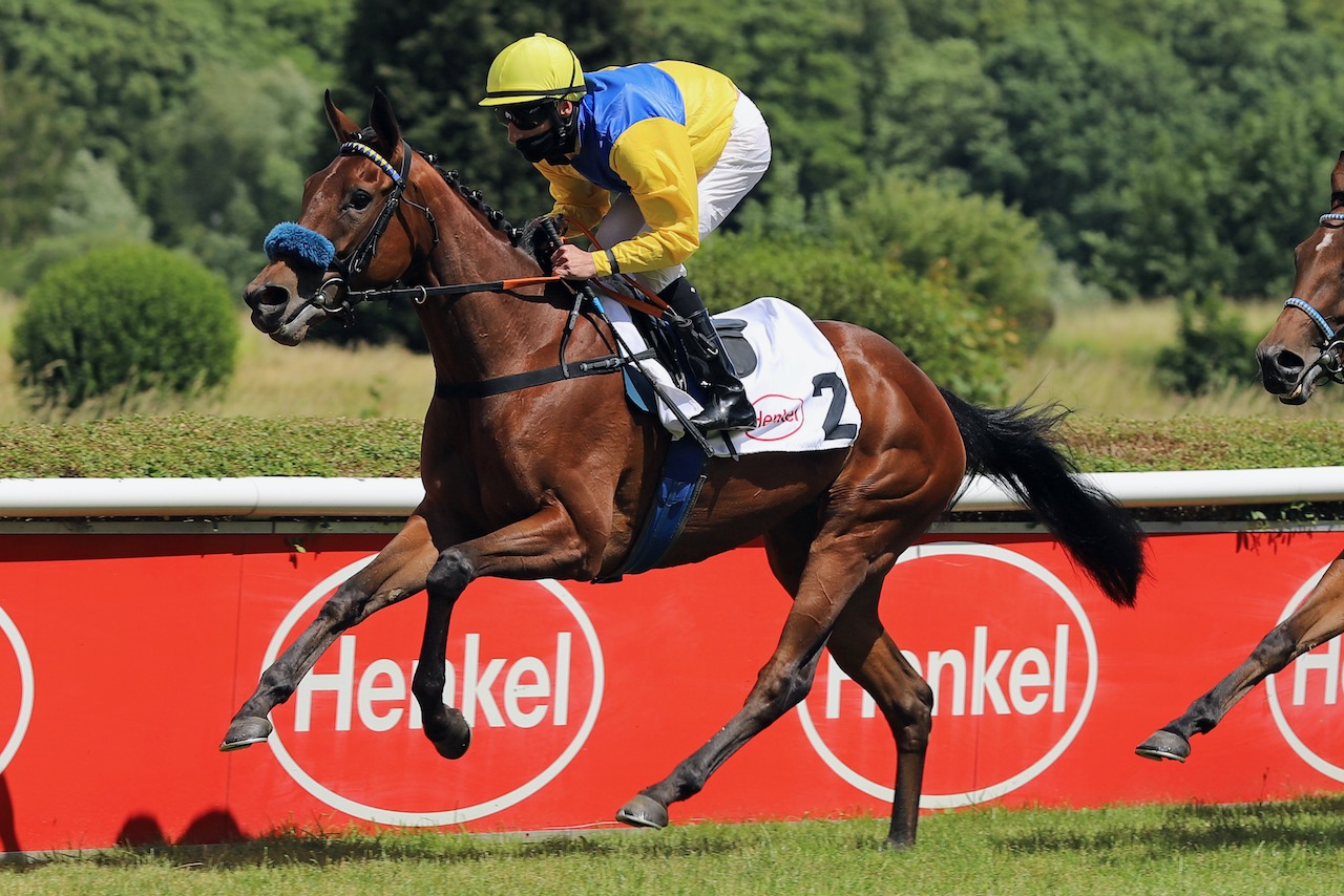 NewHarzburg.jpg NewHarzburg.jpg