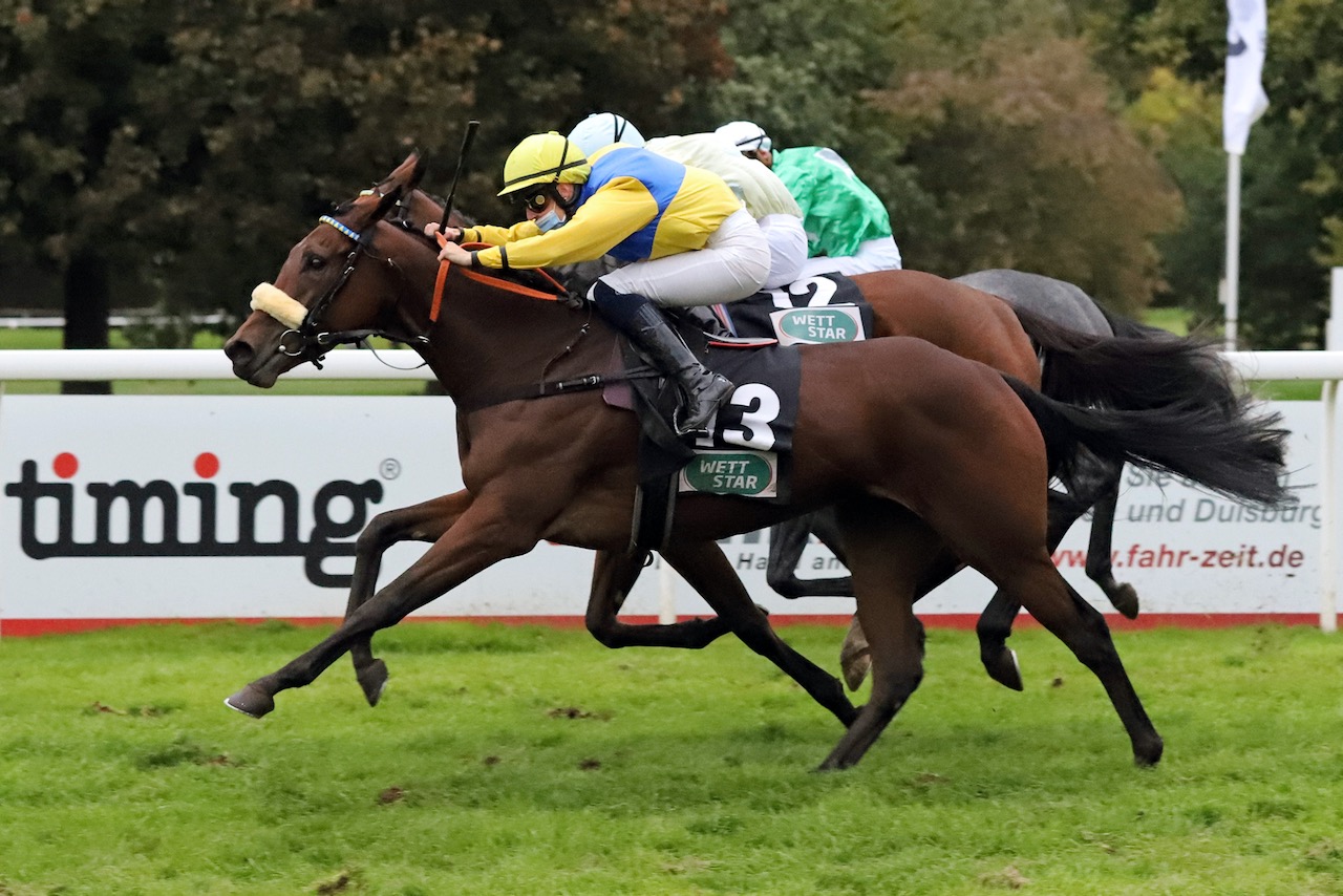 NewHarzburgMH.jpg NewHarzburgMH.jpg