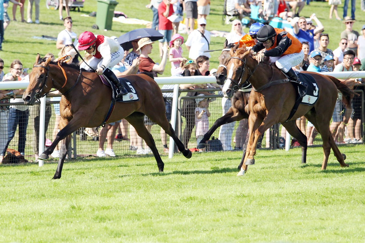 "NoelaniHannover2.jpeg"