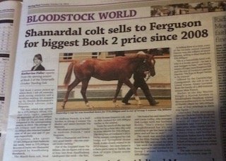 "RacingPostTattersallsBookII2014kl.jpeg"