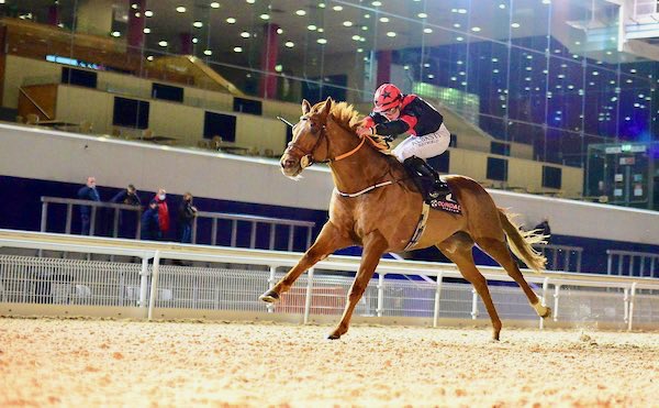 RaphaelDundalk.jpg RaphaelDundalk.jpg