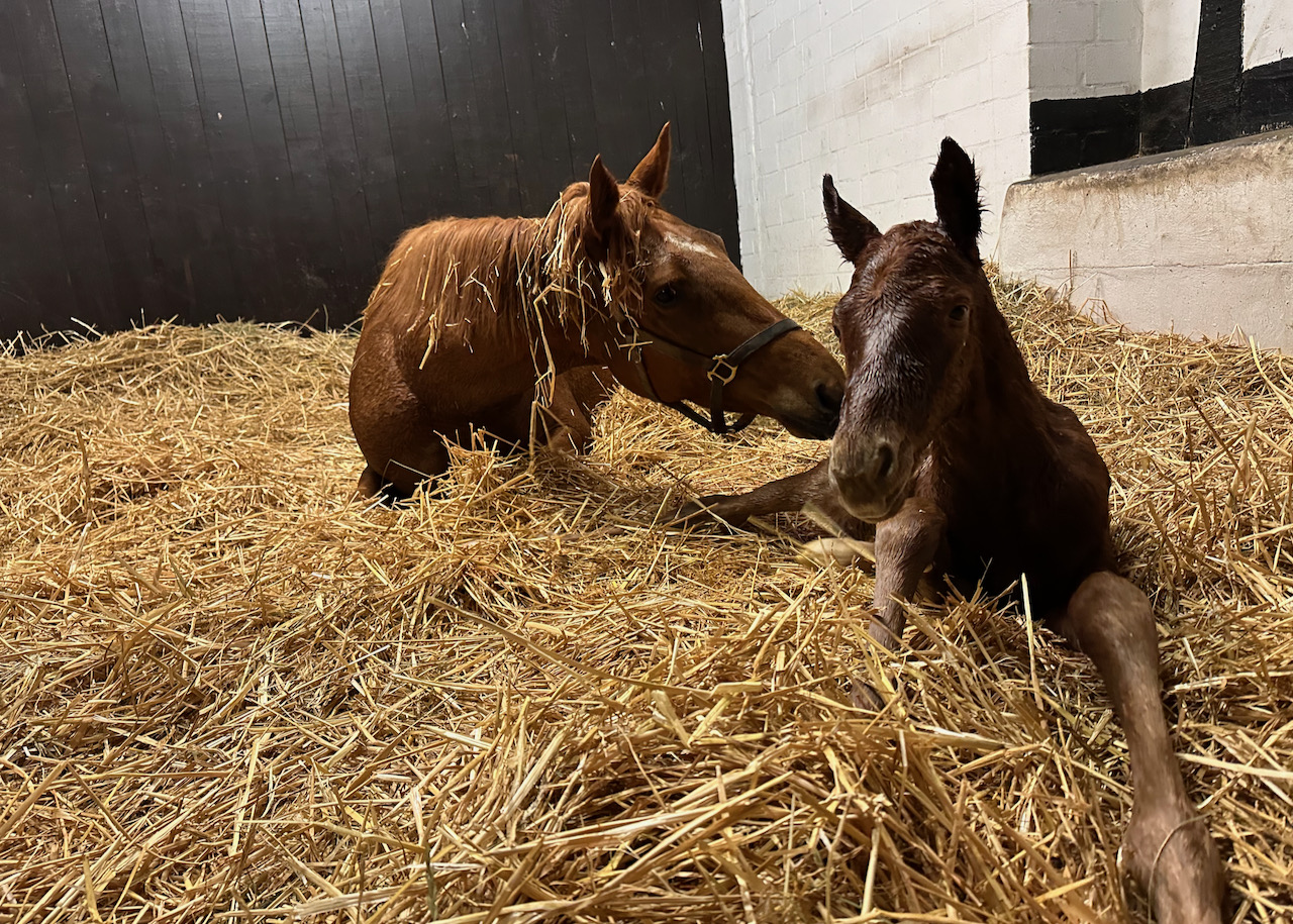 Reimagined241.jpg Reimagined241.jpg