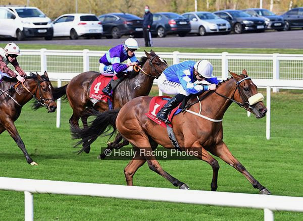 RoxetteCork.jpg RoxetteCork.jpg