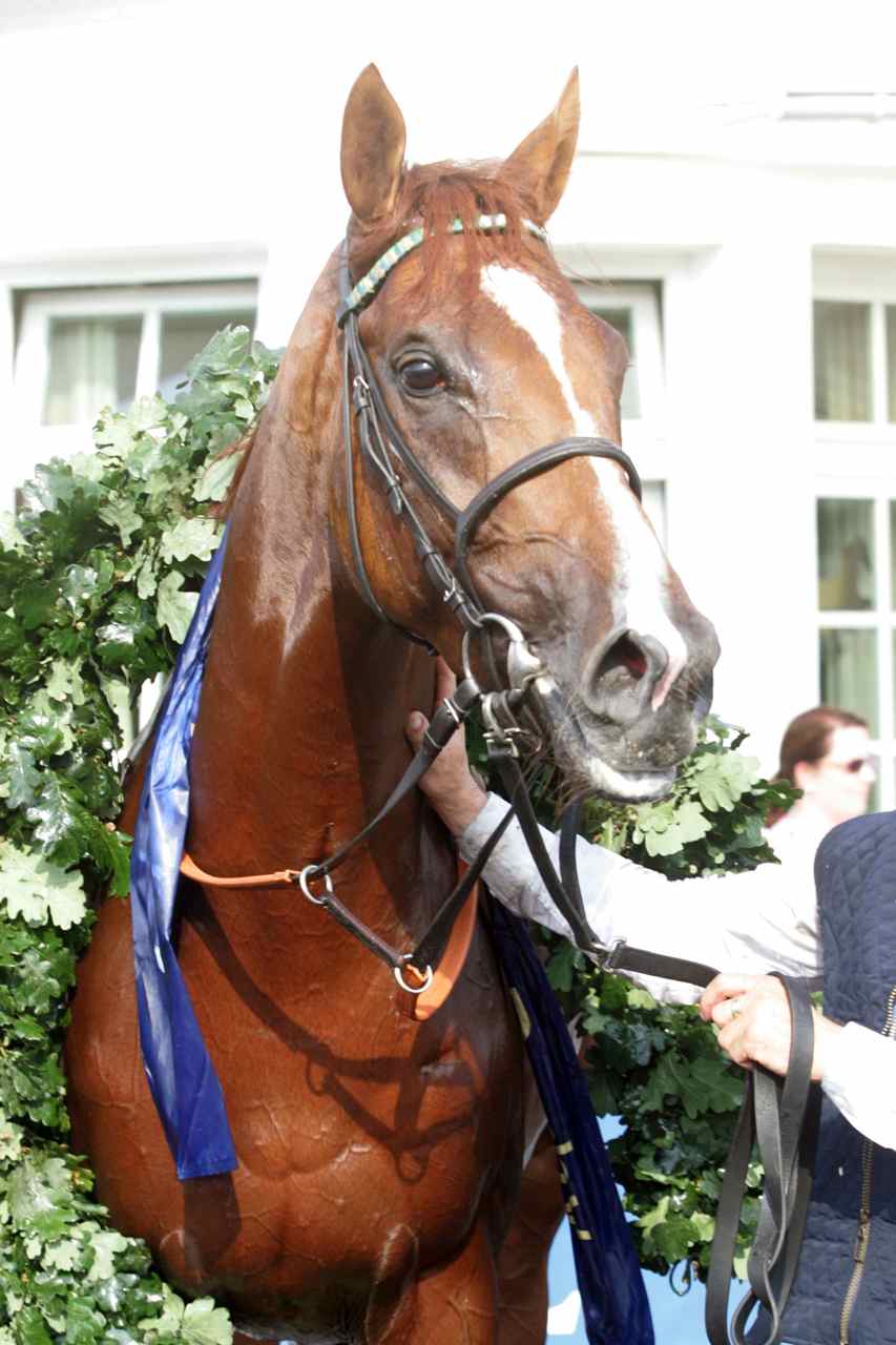 "SchiaparelliDerbyHH.jpg"