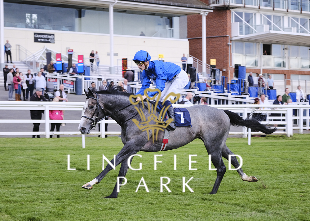 SymbolofHonourLingfield.jpeg SymbolofHonourLingfield.jpeg