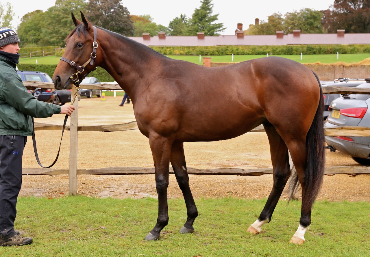 Terse18.jpg Terse18.jpg