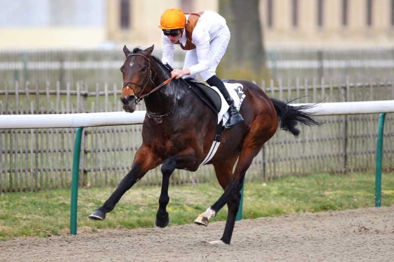 TraisFluorsPrixDarshaan.jpg TraisFluorsPrixDarshaan.jpg