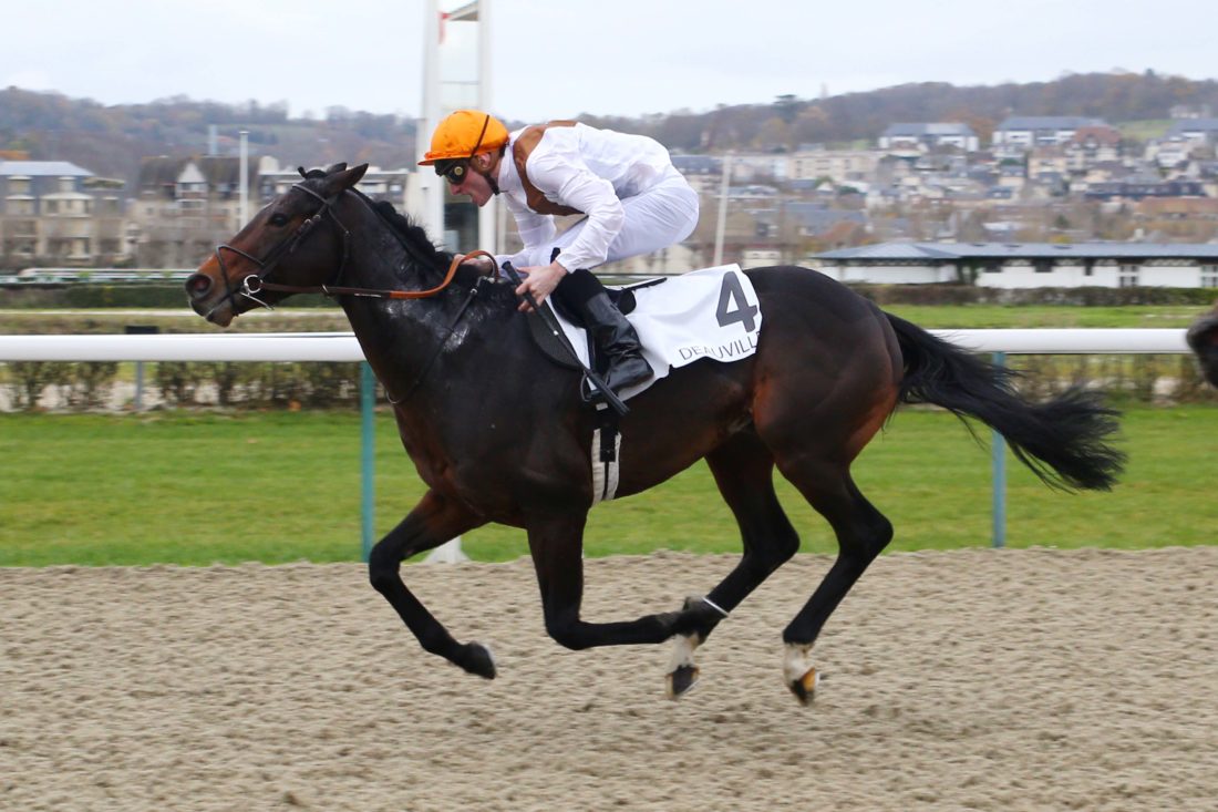 "TraisFluorsPrixLyphard.jpg"