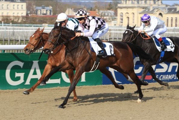 ViaFirenzekl.jpg ViaFirenzekl.jpg