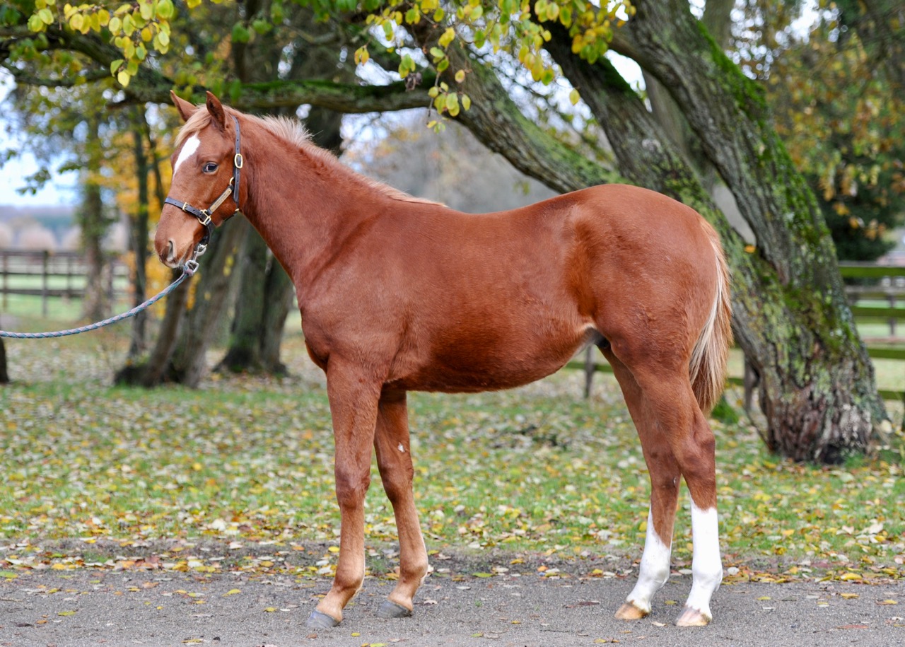 Zegna164.jpg Zegna164.jpg