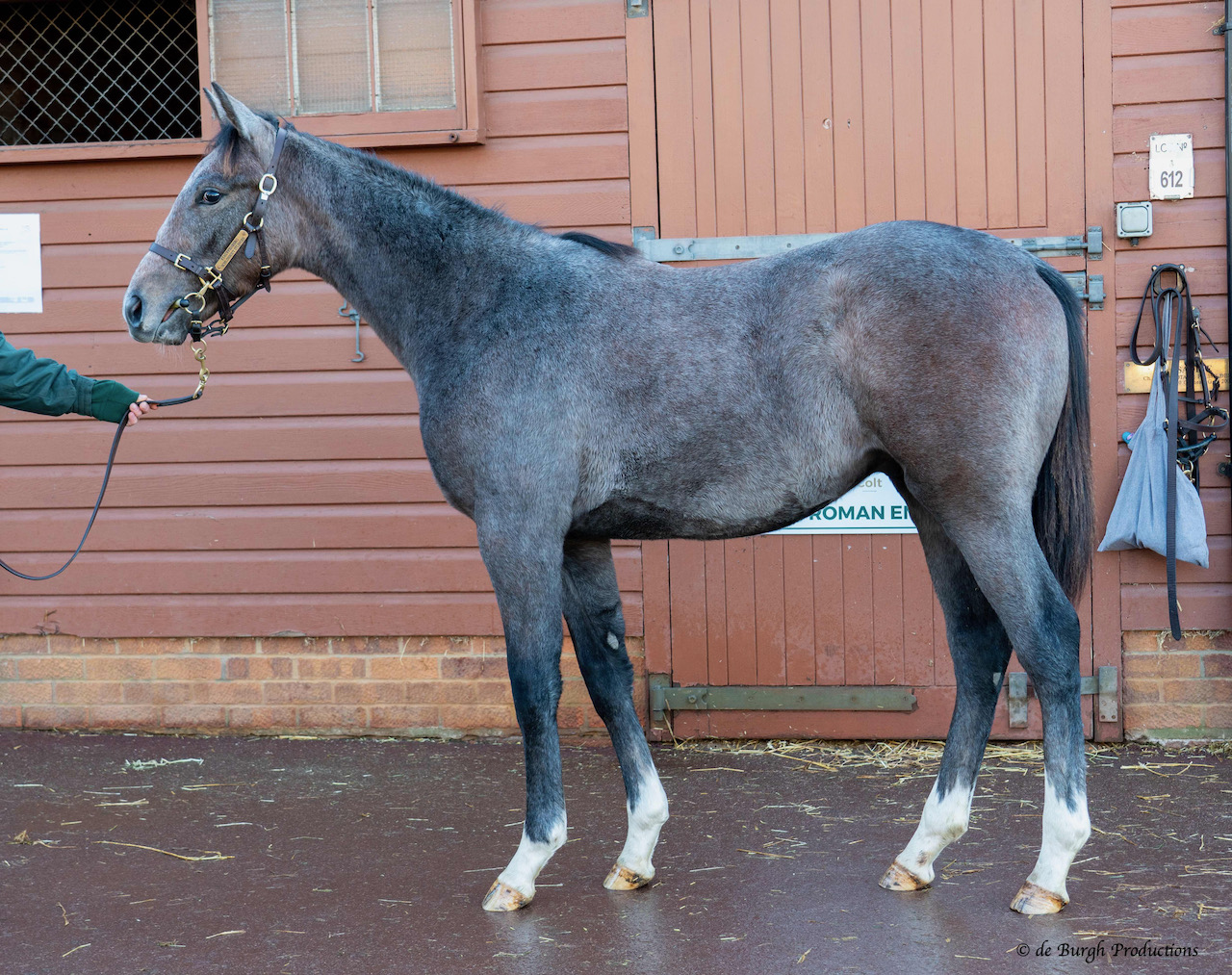 Zegna21.jpeg Zegna21.jpeg