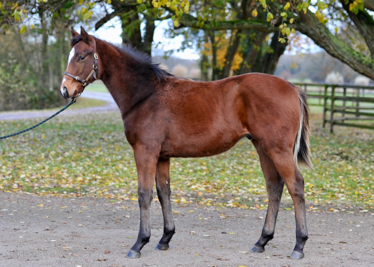 catan4.jpg catan4.jpg