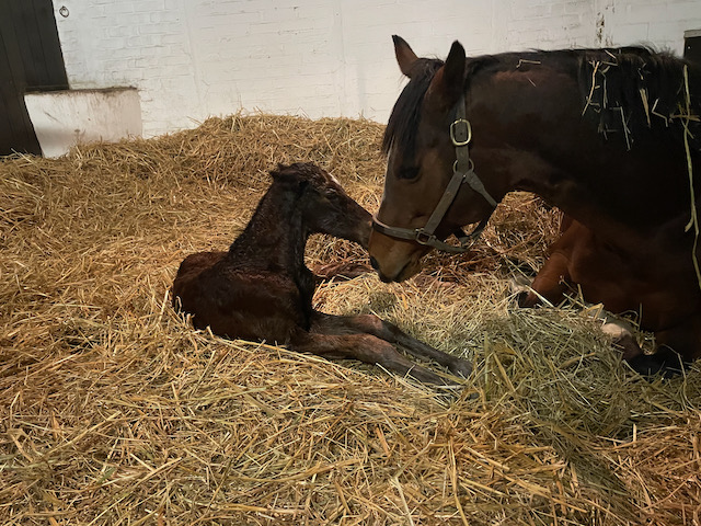 cestlamour211.jpg cestlamour211.jpg