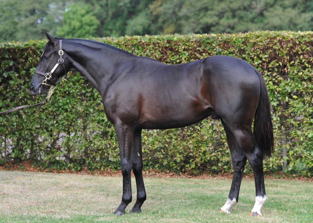 fantast5.jpg fantast5.jpg