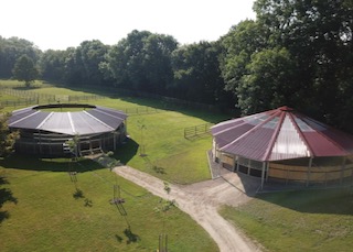 "longeringwalkerkl.jpeg"