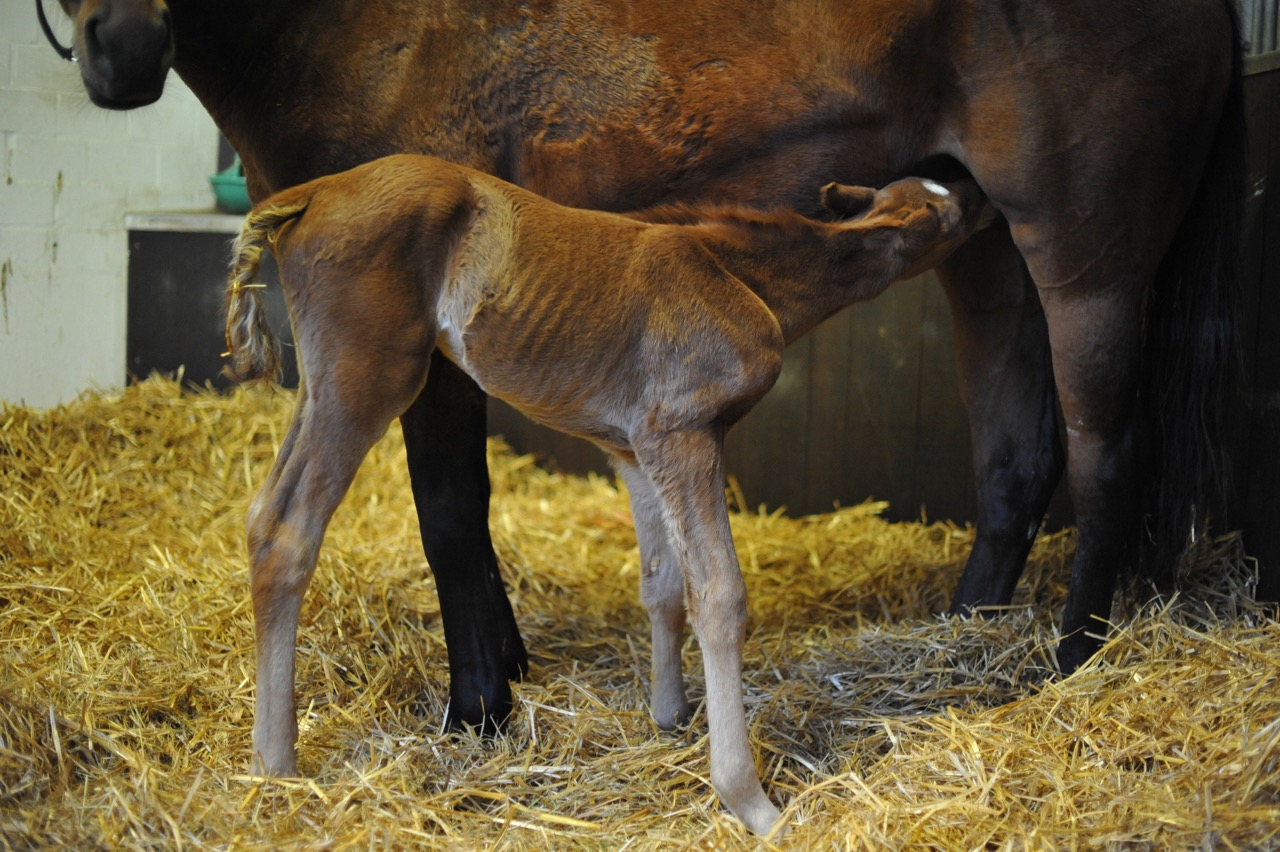 raphael2.jpg raphael2.jpg