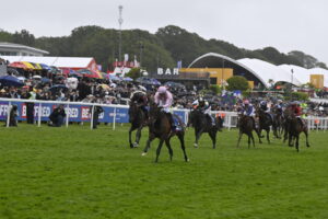 Maltese Cross finished 2nd in the Betfred Derby Photo by Jim Clark